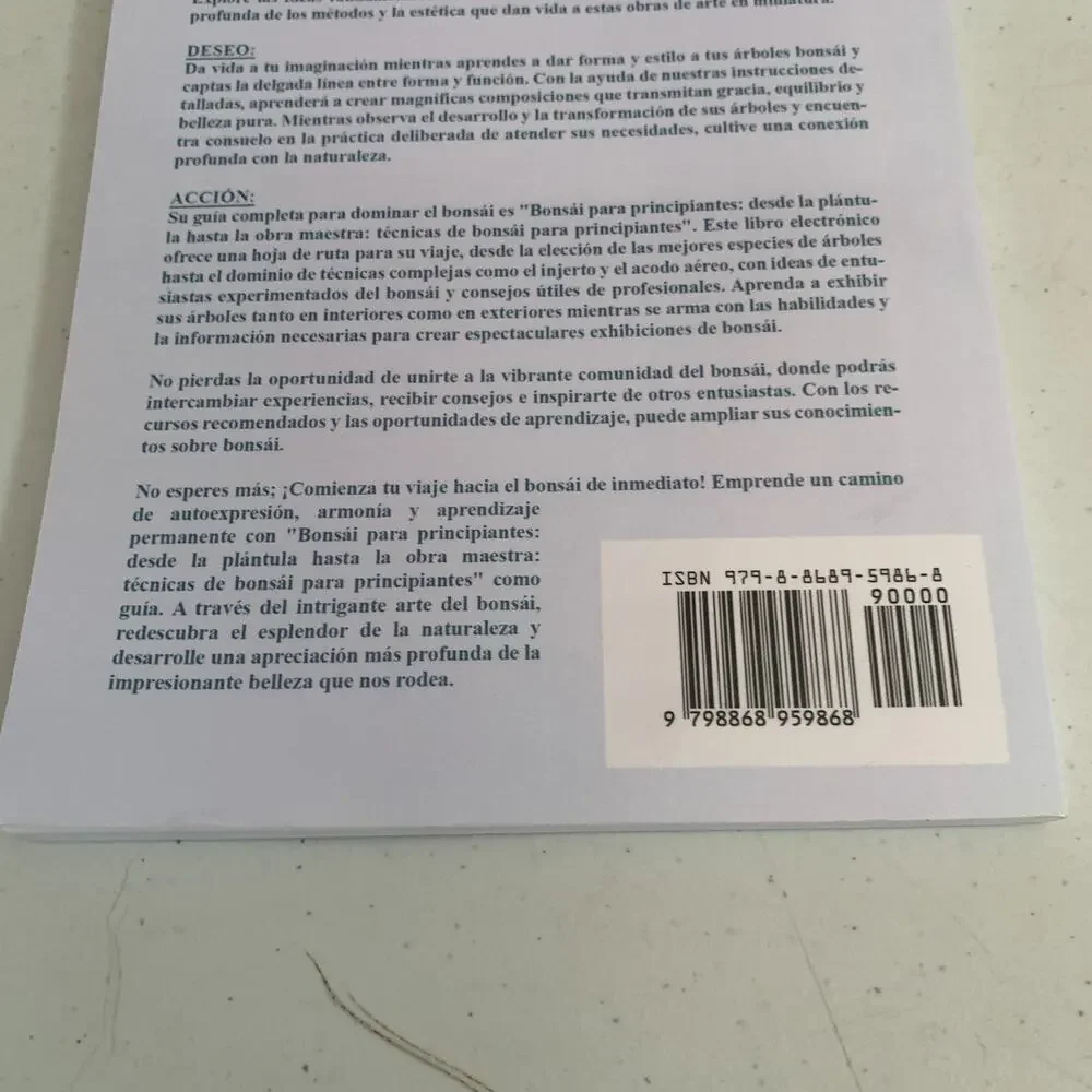Emily Bautista Bonsái Para Principiantes Paperback In Spanish